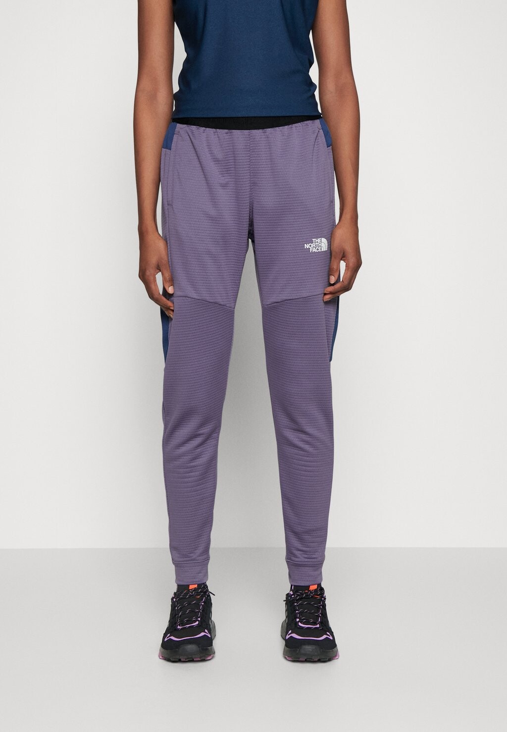 

Спортивные брюки The North Face, Серый
