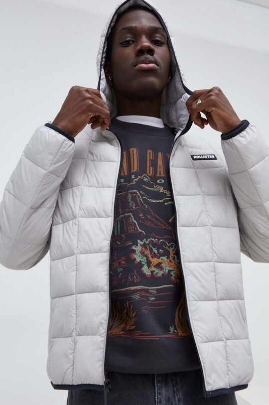 

Компания Холлистер куртка Hollister Co., серый