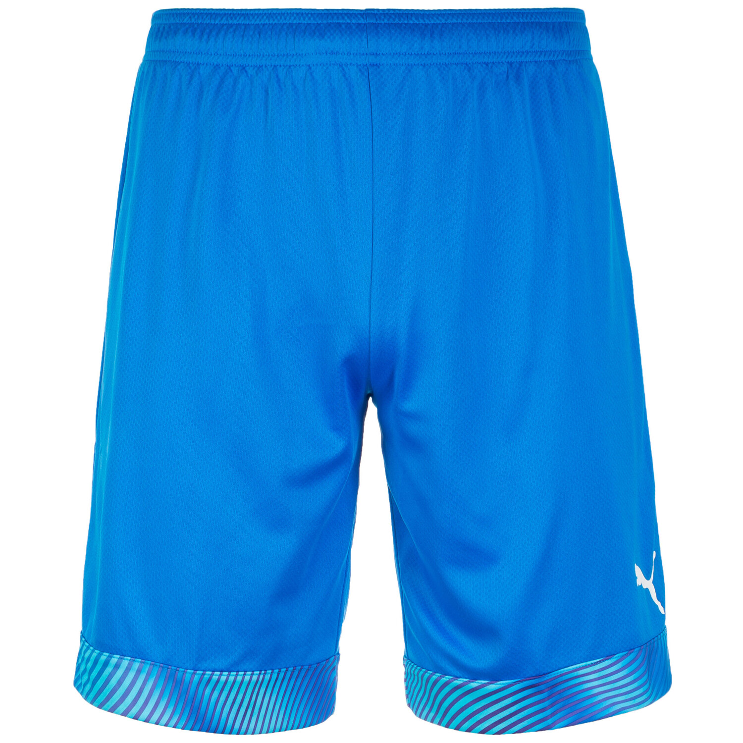 

Шорты Puma Trainings Cup, синий