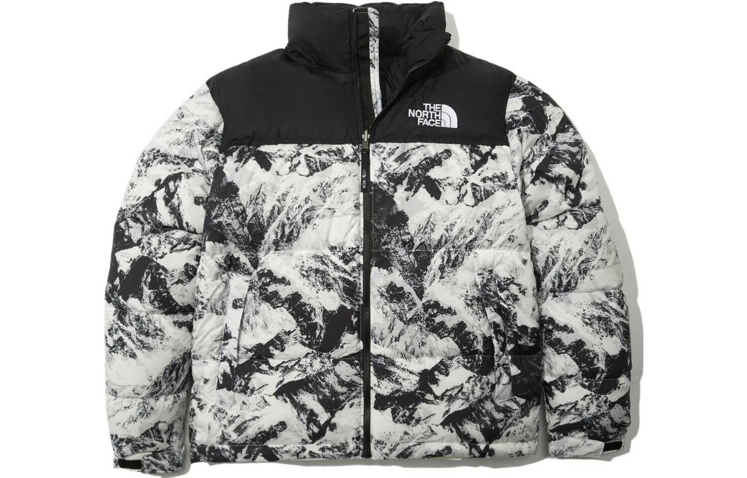 

THE NORTH FACE Мужской пуховик, Белый