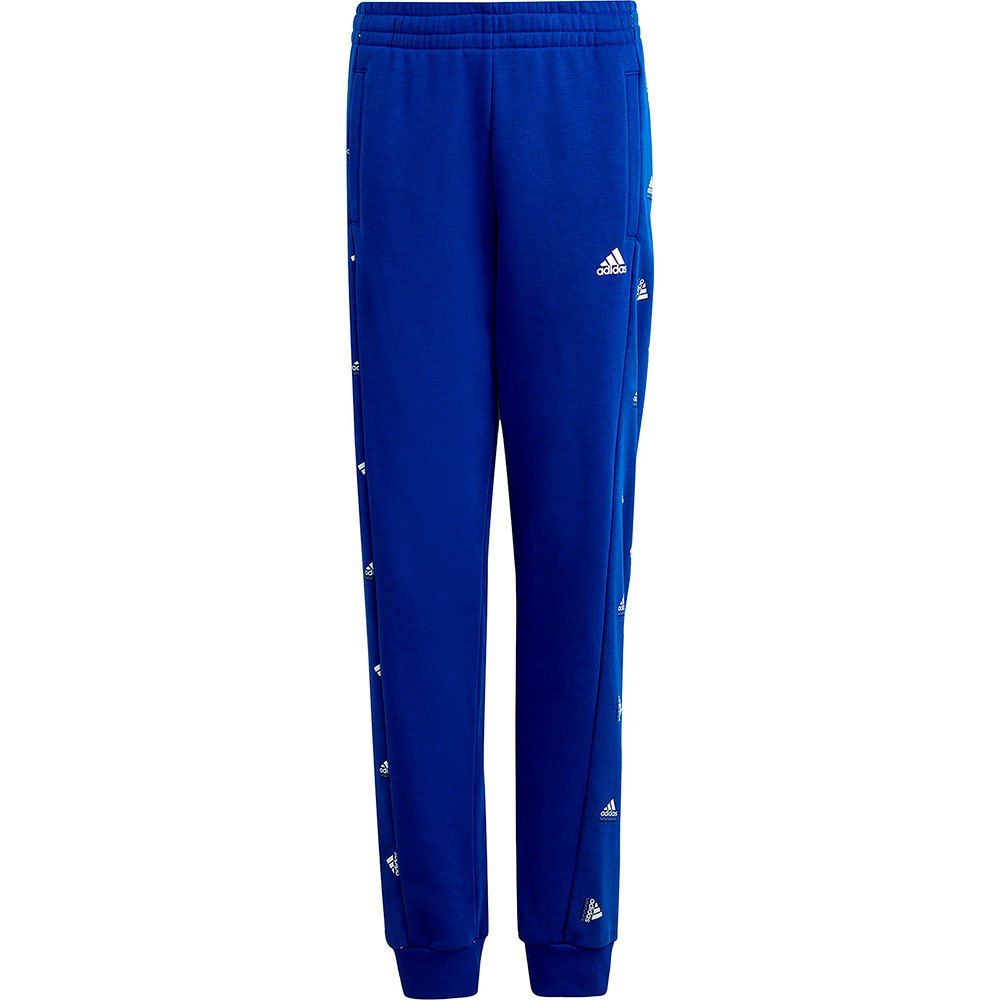 Брюки adidas Sportswear Bluv Q1, синий