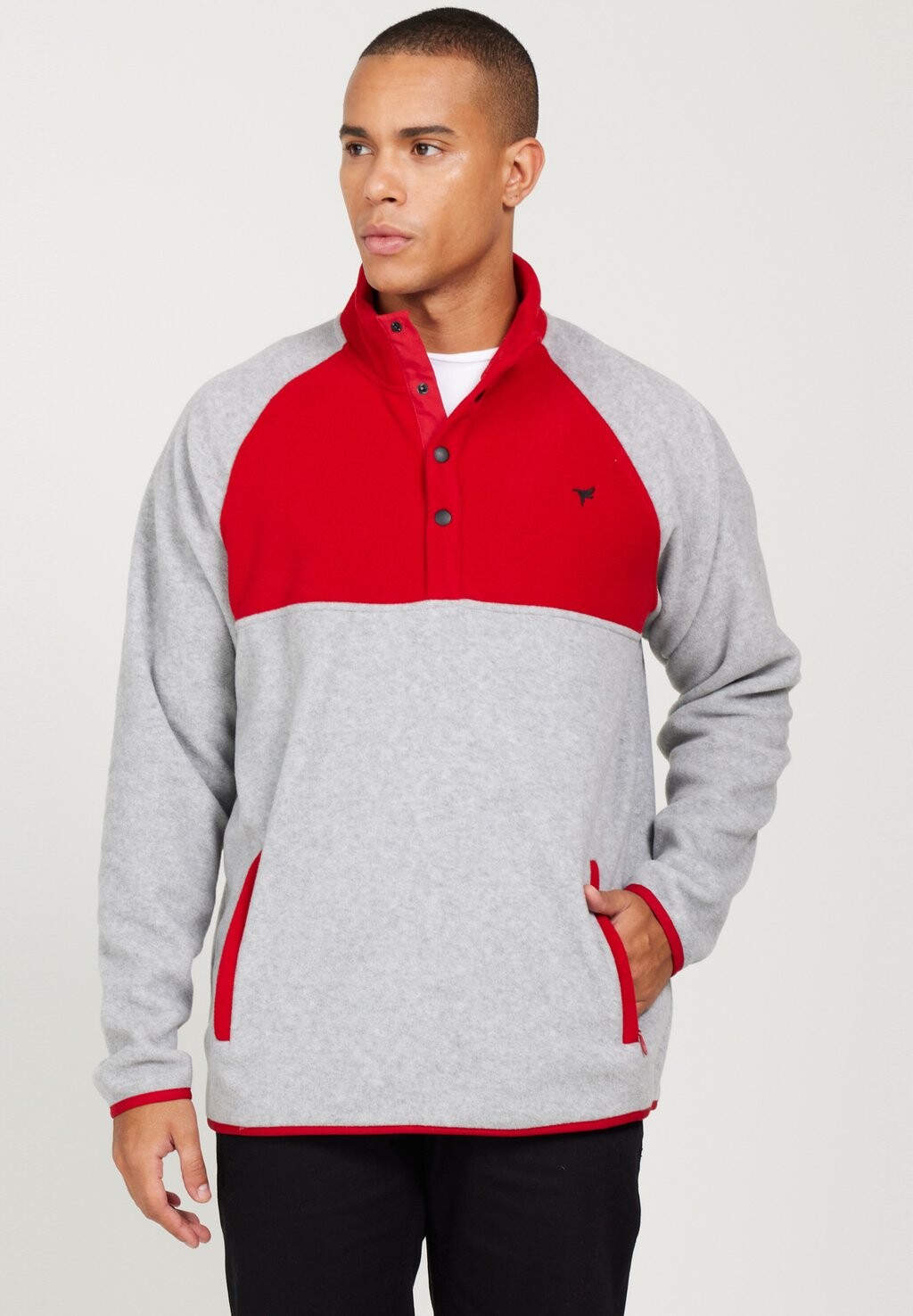 

Флисовый свитер STANDARD FIT AC&CO / ALTINYILDIZ CLASSICS, цвет multıcolor