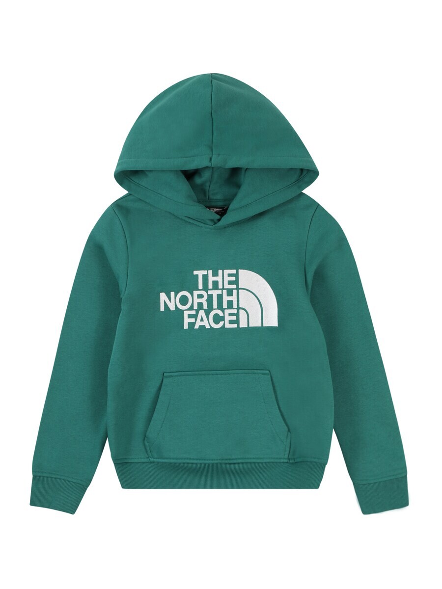 

Спортивная толстовка THE NORTH FACE Athletic Drew Peak, зеленый