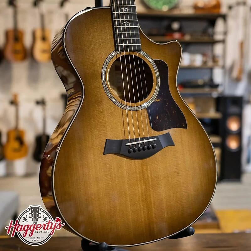 

Акустическая гитара Taylor 512ce Urban Ironbark Grand Concert Acoustic/Electric - Deluxe Hardshell Case