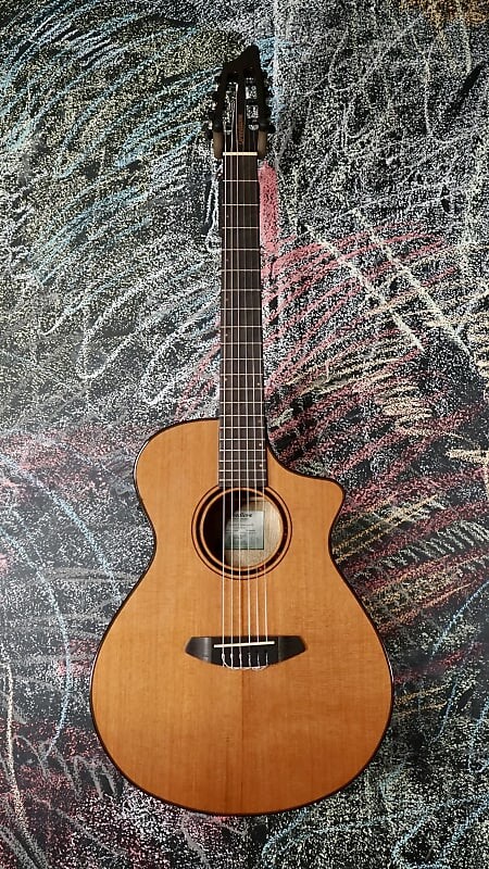 

Акустическая гитара Breedlove Pursuit Exotic S Concert Nylon CE Red Cedar-Myrtlewood