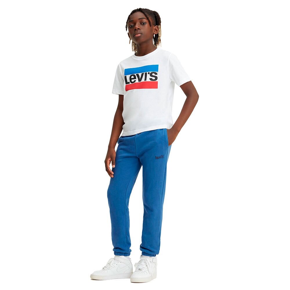 

Джоггеры Levi´s Poster Logo Relaxed, синий