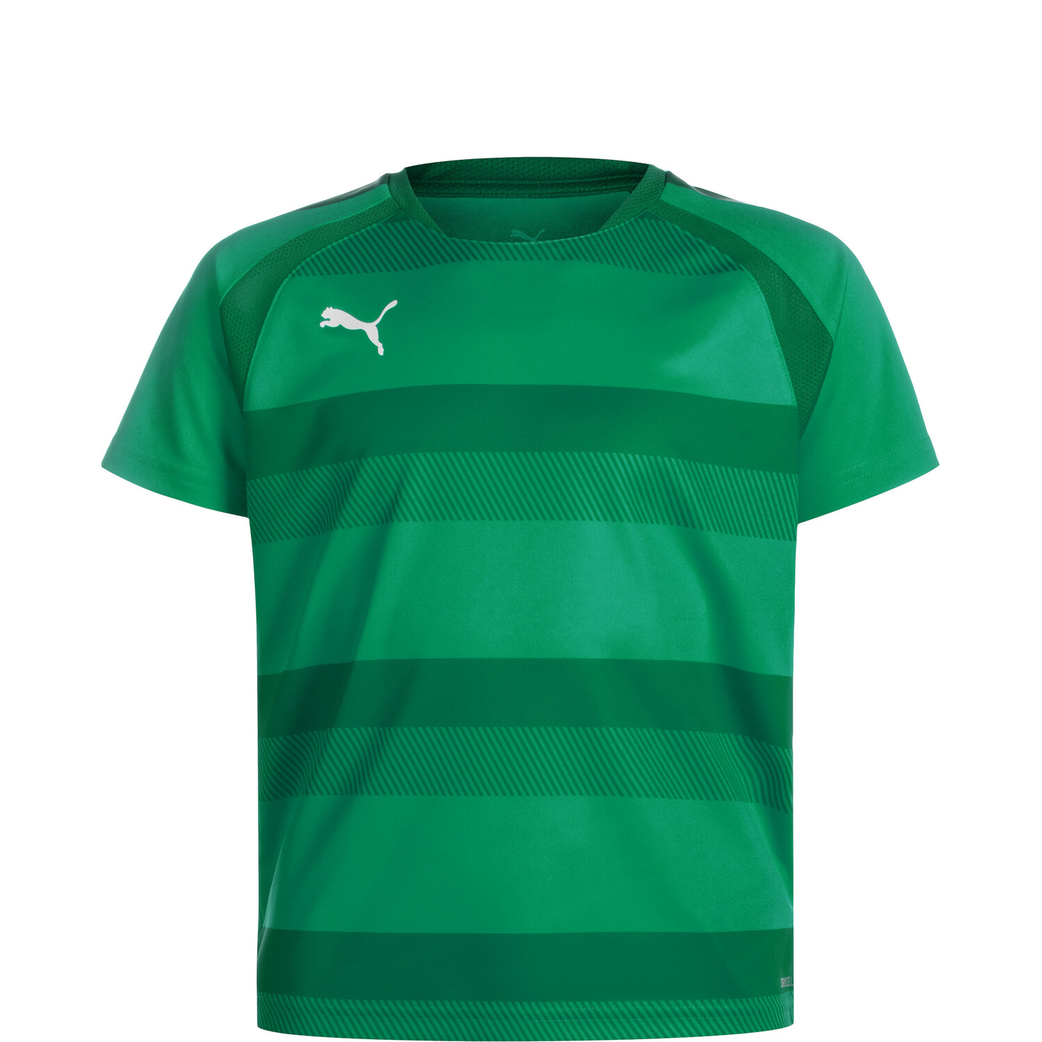 

Спортивная футболка Puma Fußballtrikot teamVision, цвет grün/weiß