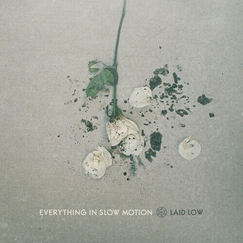 

CD диск Everything in Slow Motion: Laid Low
