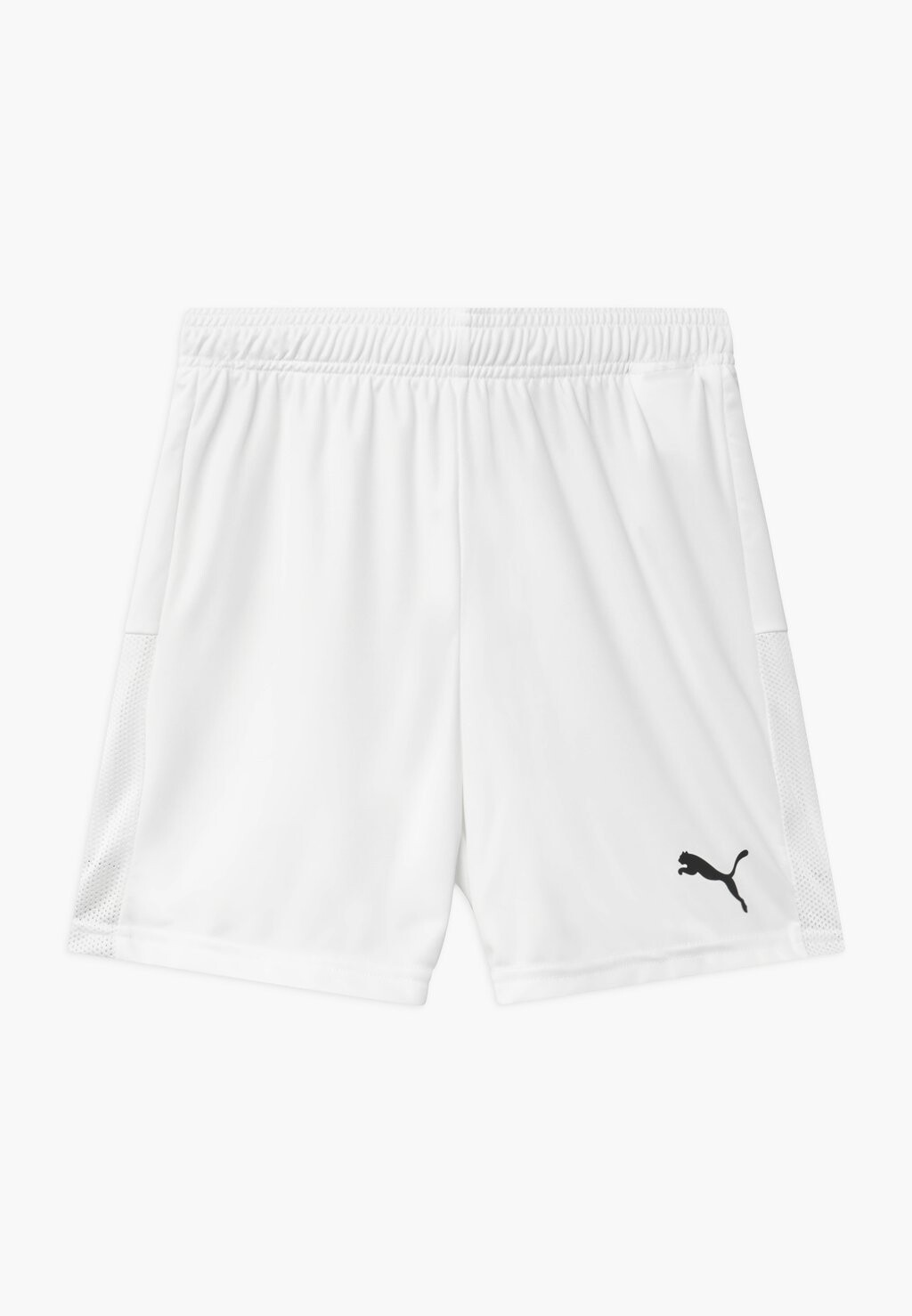 

Спортивные шорты Teamgoal Unisex Puma, цвет puma white