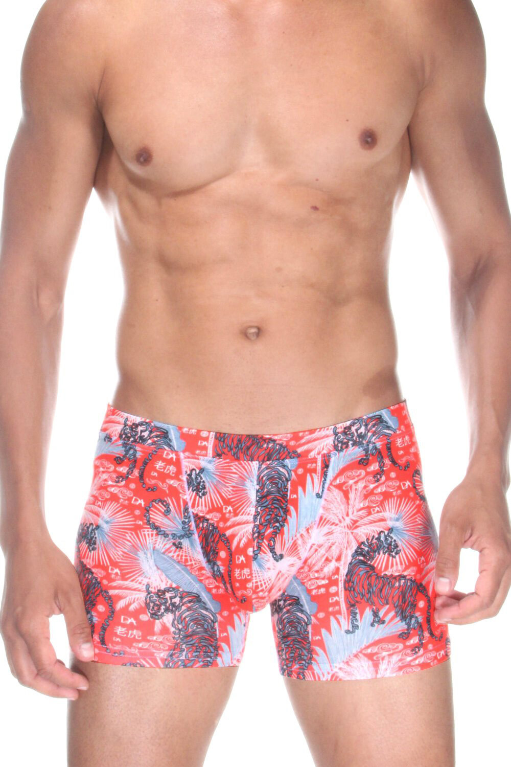 

Боксеры Doreanse Pants, красочный