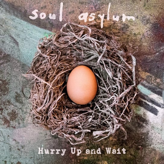 Виниловая пластинка Soul Asylum - Hurry Up And Wait