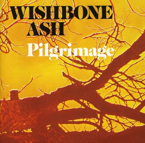 

CD диск Wishbone Ash: Pilgrimage