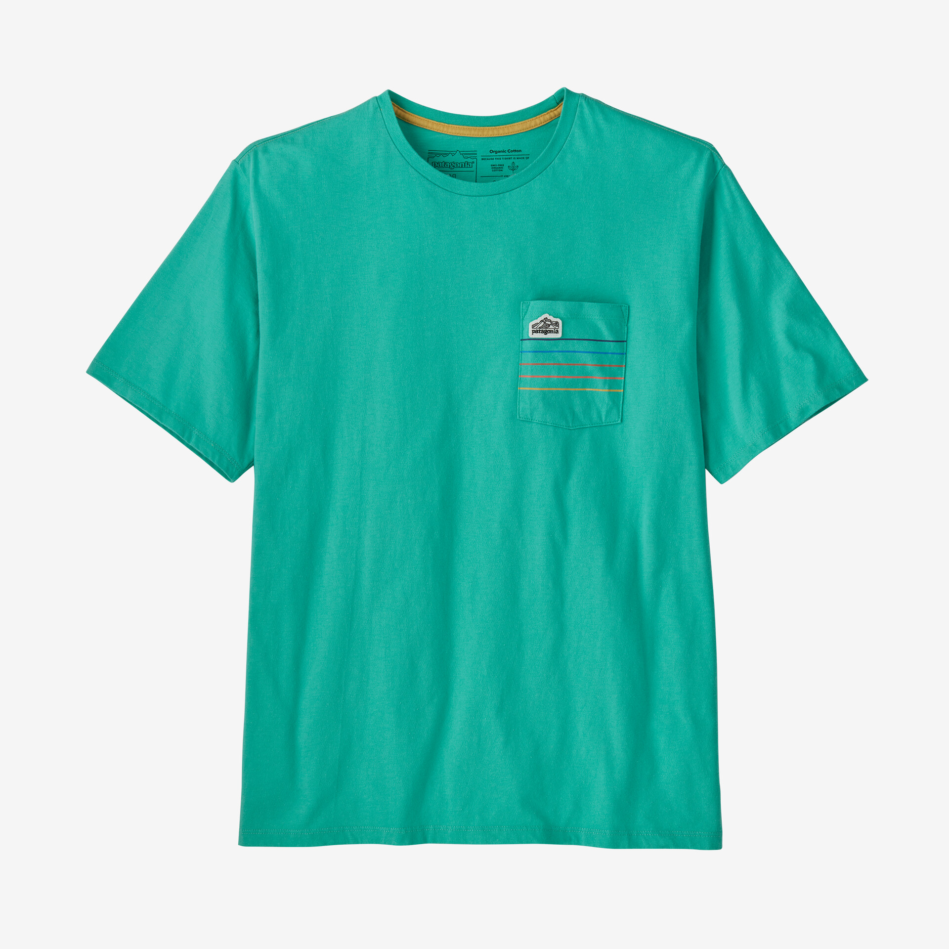 Мужская футболка с карманами и логотипом Ridge Stripe Patagonia, цвет Fresh Teal цена и фото