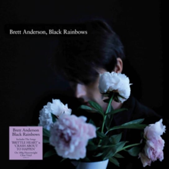 цена Виниловая пластинка Anderson Brett - Black Rainbows (цветной винил)