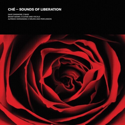 

Виниловая пластинка Che: Sounds Of Liberation