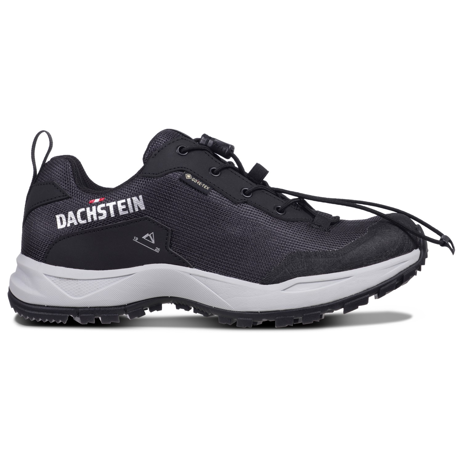 Мультиспортивная обувь Dachstein Women's Delta Ascent GTX, черный