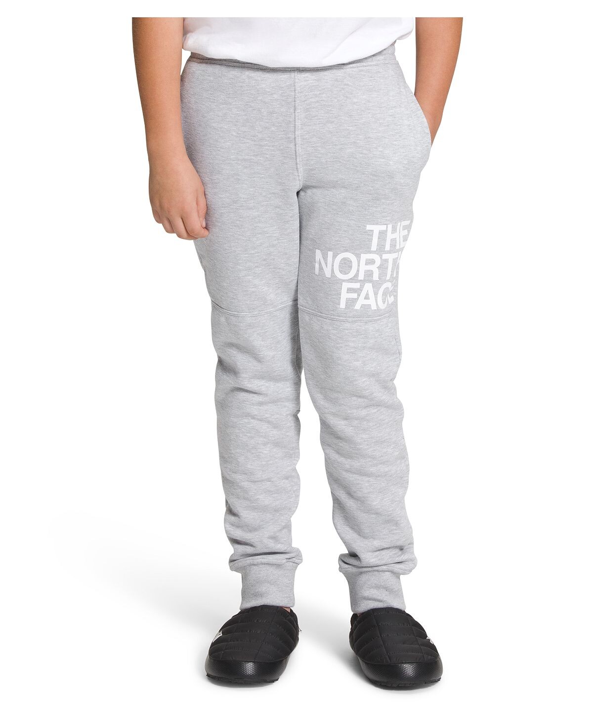 

Флисовые джоггеры Big Boys Camp The North Face