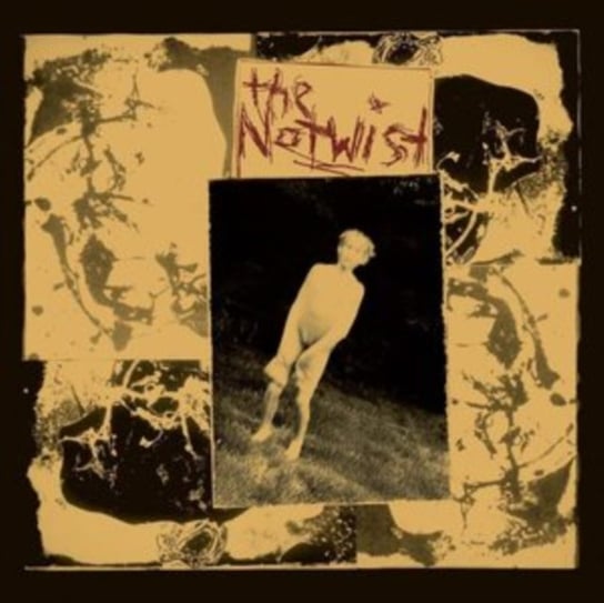 Виниловая пластинка The Notwist - The Notwist