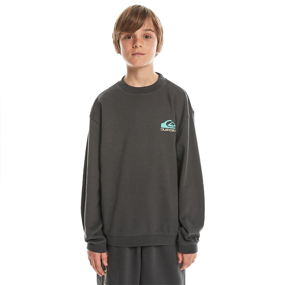 

Толстовка Quiksilver Takeusbackcr, серый