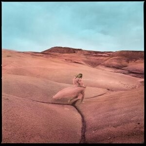

Виниловая пластинка Price Margo - Strays