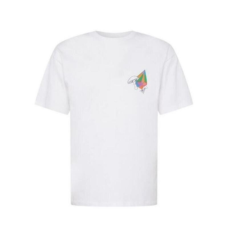 

Мужская футболка Volcom FA C. Abbottxfrensch белая