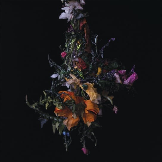 

Виниловая пластинка Big Brave - Nature Morte