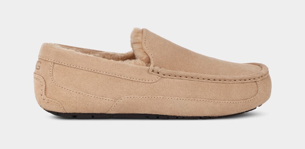 

Домашние тапочки Ascot Slipper UGG, желтый