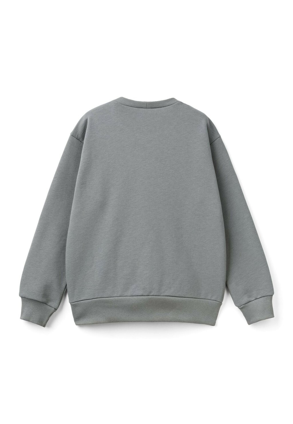 

Толстовка CREW NECK WITH PRINT United Colors of Benetton, серый