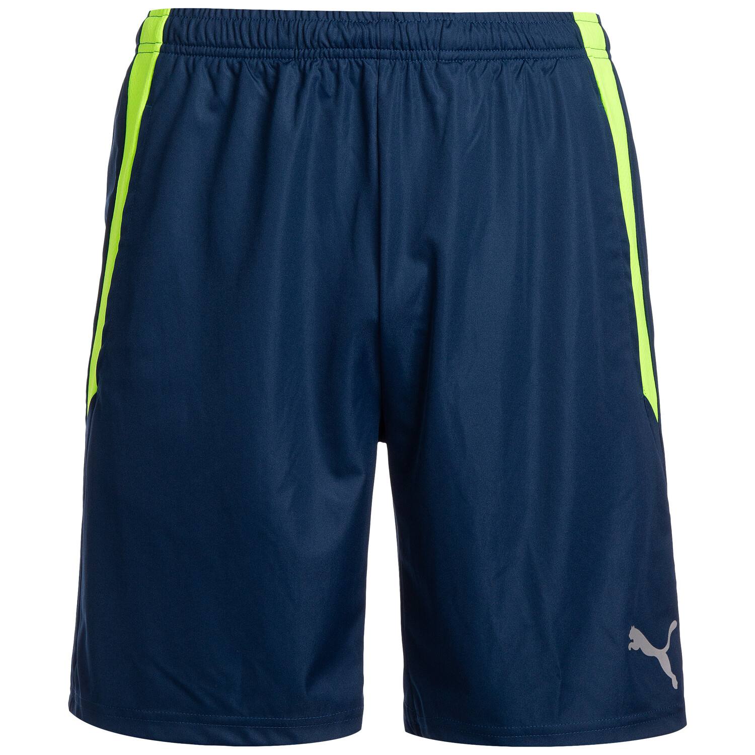 

Шорты Puma Trainings TeamLIGA Training, синий
