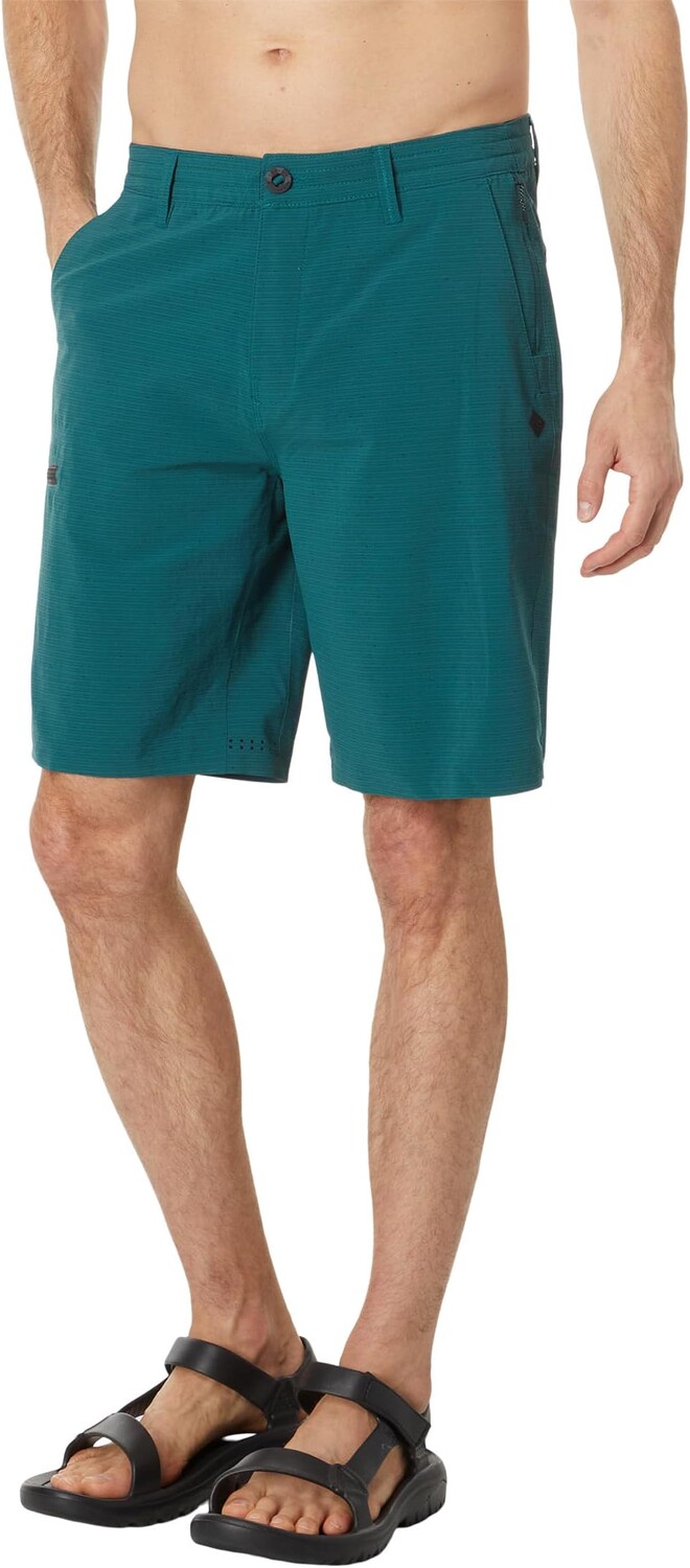 

Гибридные шорты Boardwalk Global Entry 20 дюймов Rip Curl, цвет Blue Green
