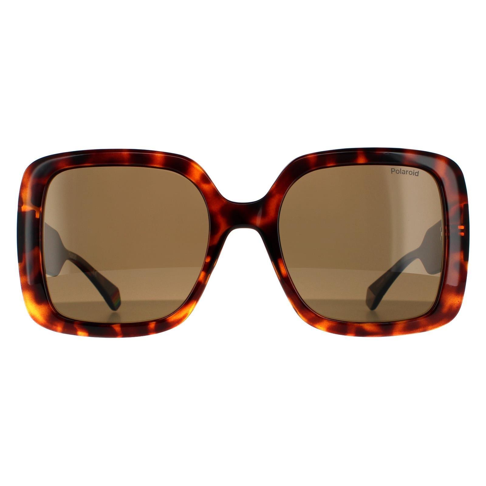 Квадратные поляризованные солнцезащитные очки из темной гаванской бронзы Polaroid, коричневый солнцезащитные очки polaroid polaroid pld 6168 s 086 sp pld 6168 s 086 sp коричневый