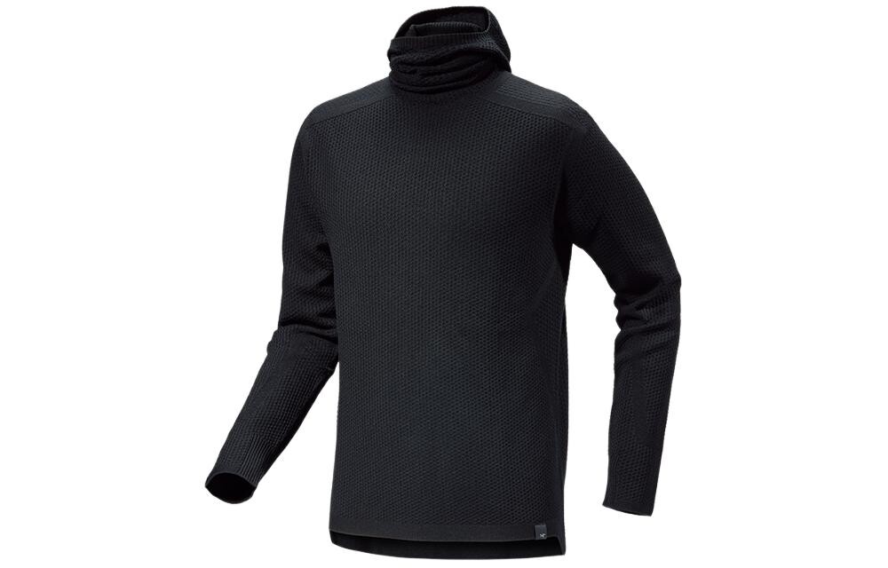 

COVERT PULLOVER Толстовка мужская Arcteryx, зеленый