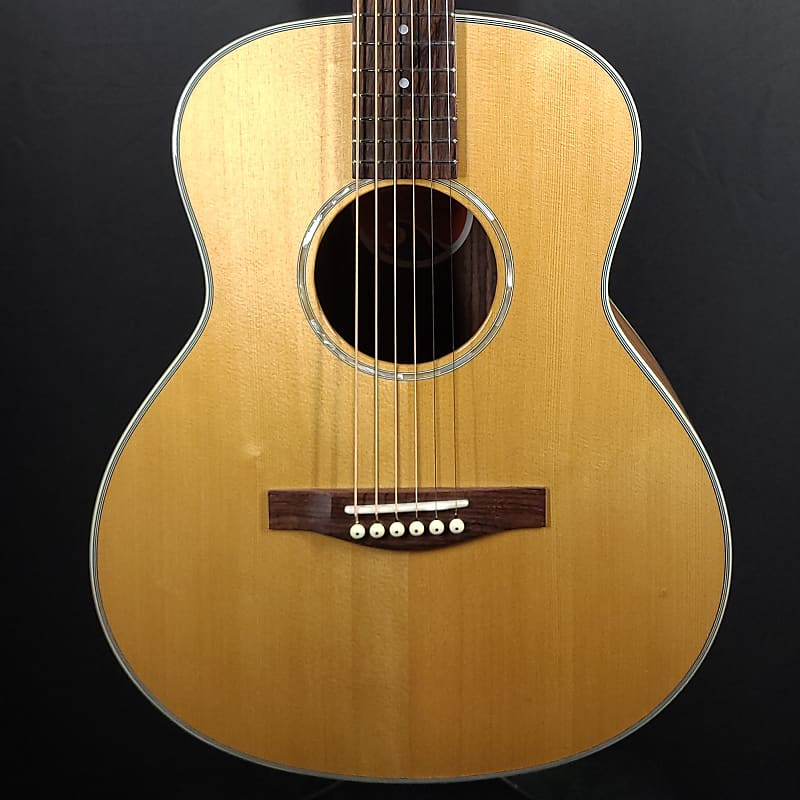 Акустическая гитара Eastman PCH2-TG Thermo Cure Natural Travel Guitar #037 цена и фото