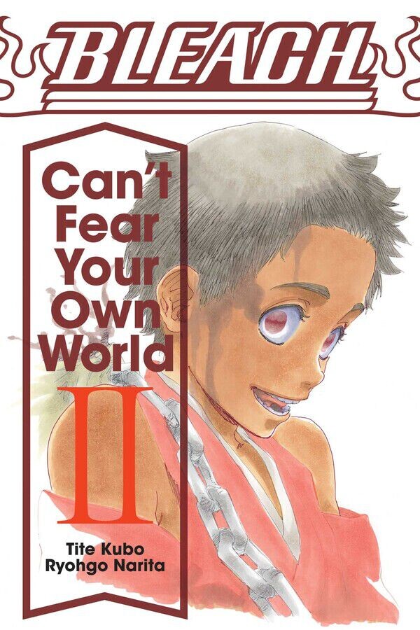 

Новелла BLEACH: Can't Fear Your Own World Novel Volume 2