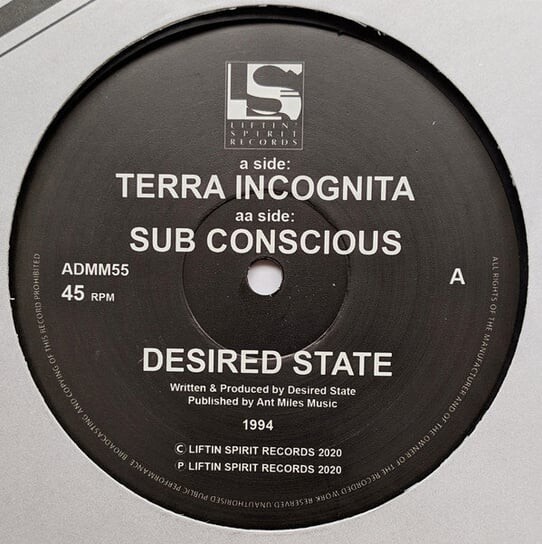 

Виниловая пластинка Desired State - Terra Incognita / Sub Conscious