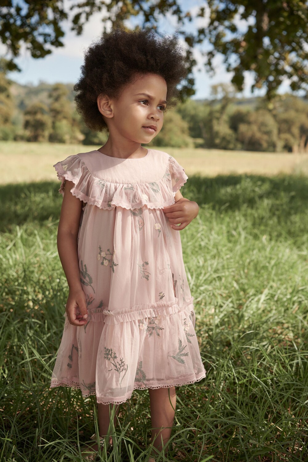 

Вечернее платье с сетчатой вышивкой Laura Ashley, розовый