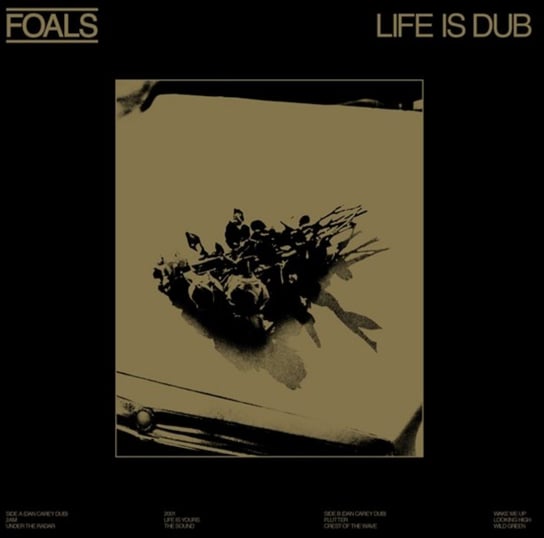 Виниловая пластинка Foals - Life is Dub