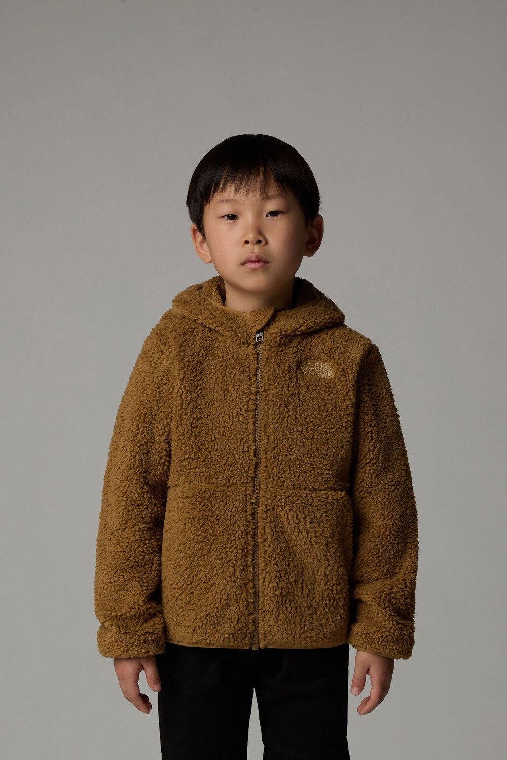 

Толстовка Campshire с капюшоном на молнии для мальчиков The North Face, коричневый