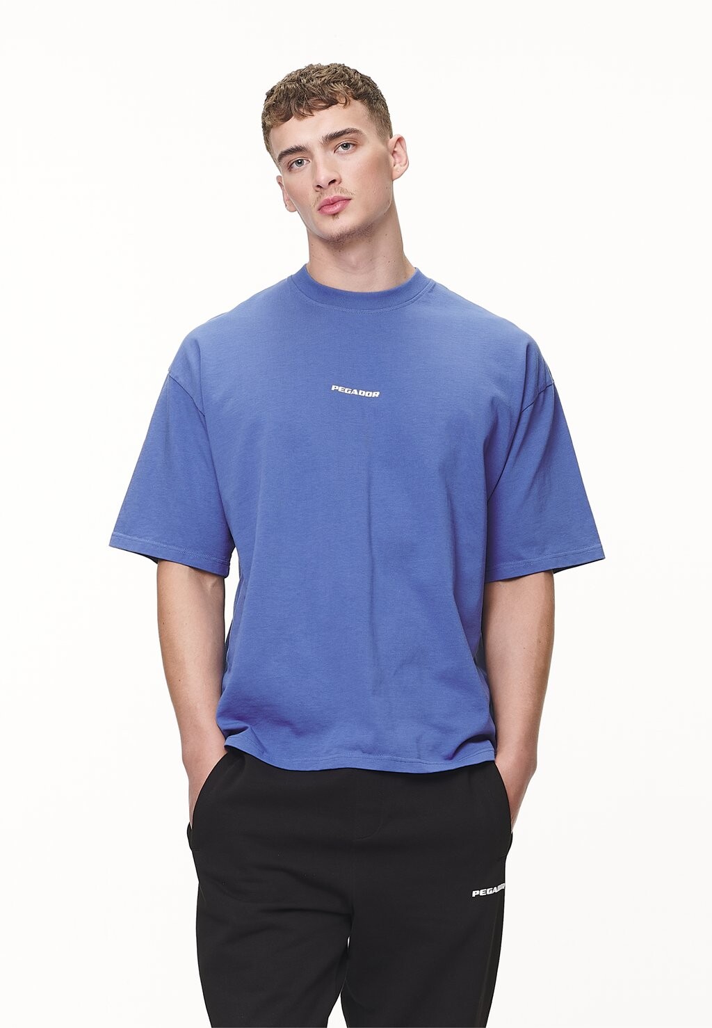 

Футболка с принтом LOGO BOXY TEE Pegador, синий