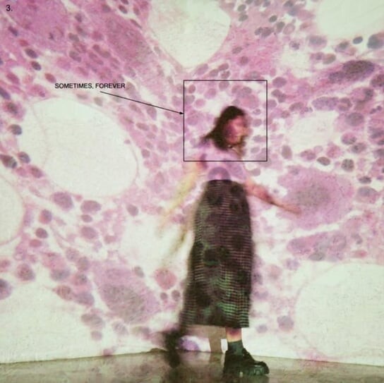 

Виниловая пластинка Soccer Mommy - Sometimes, Forever