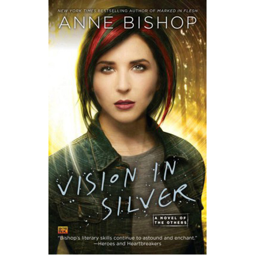 Книга Vision In Silver – (Paperback)