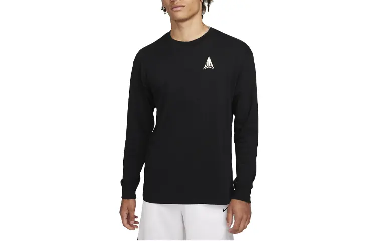 

Мужская футболка Nike, цвет Black