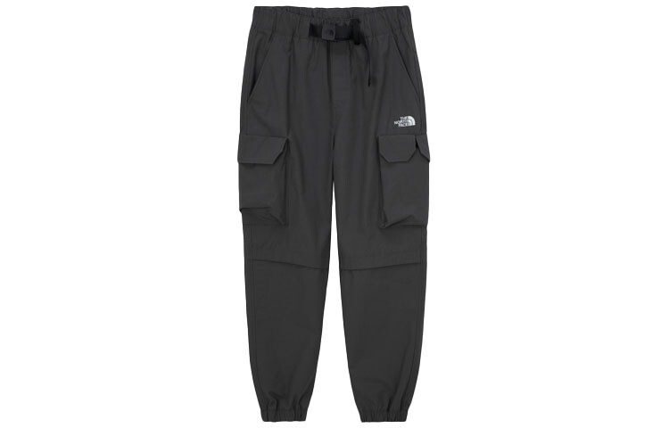 

Трикотажные спортивные штаны мужские серые The North Face, серый