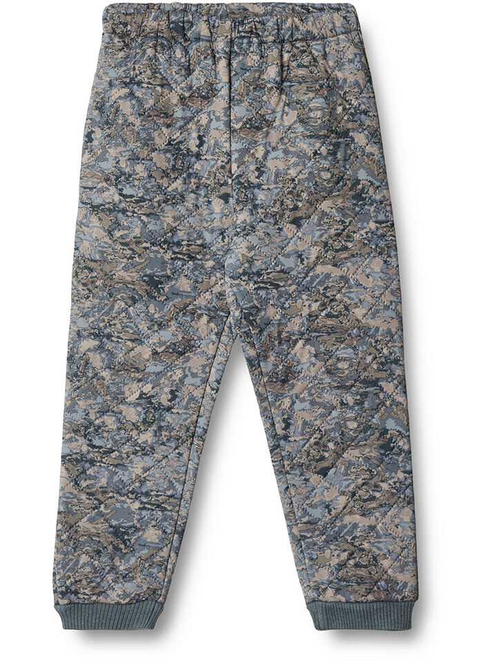 

Спортивные шорты Wheat Thermo Hose Alex, серый