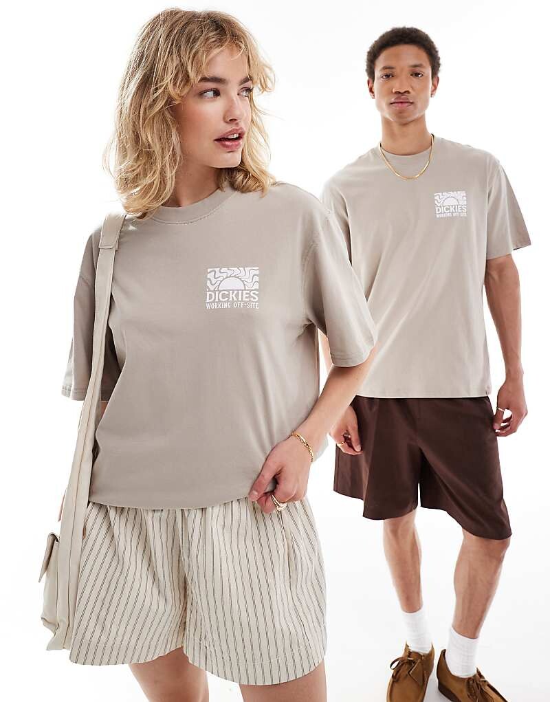 

Dickies – Saltville – футболка с песком