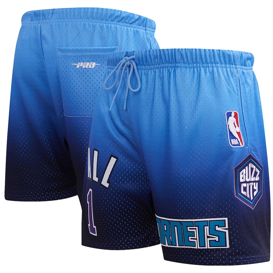 

Шорты Pro Standard Charlotte Hornets, нави