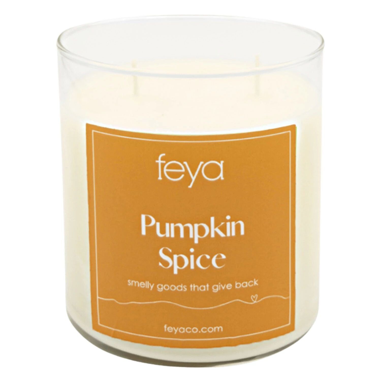 

Приправа для тыквы Feya Candle, 20 унций. Соевая свеча