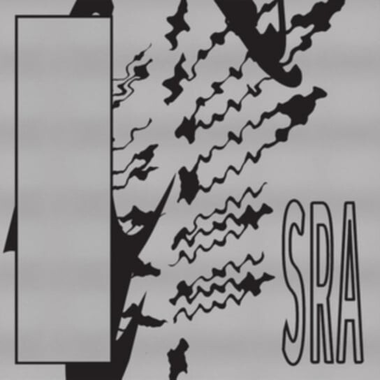 

Виниловая пластинка Silk Road Assassins - Reflection Spaces