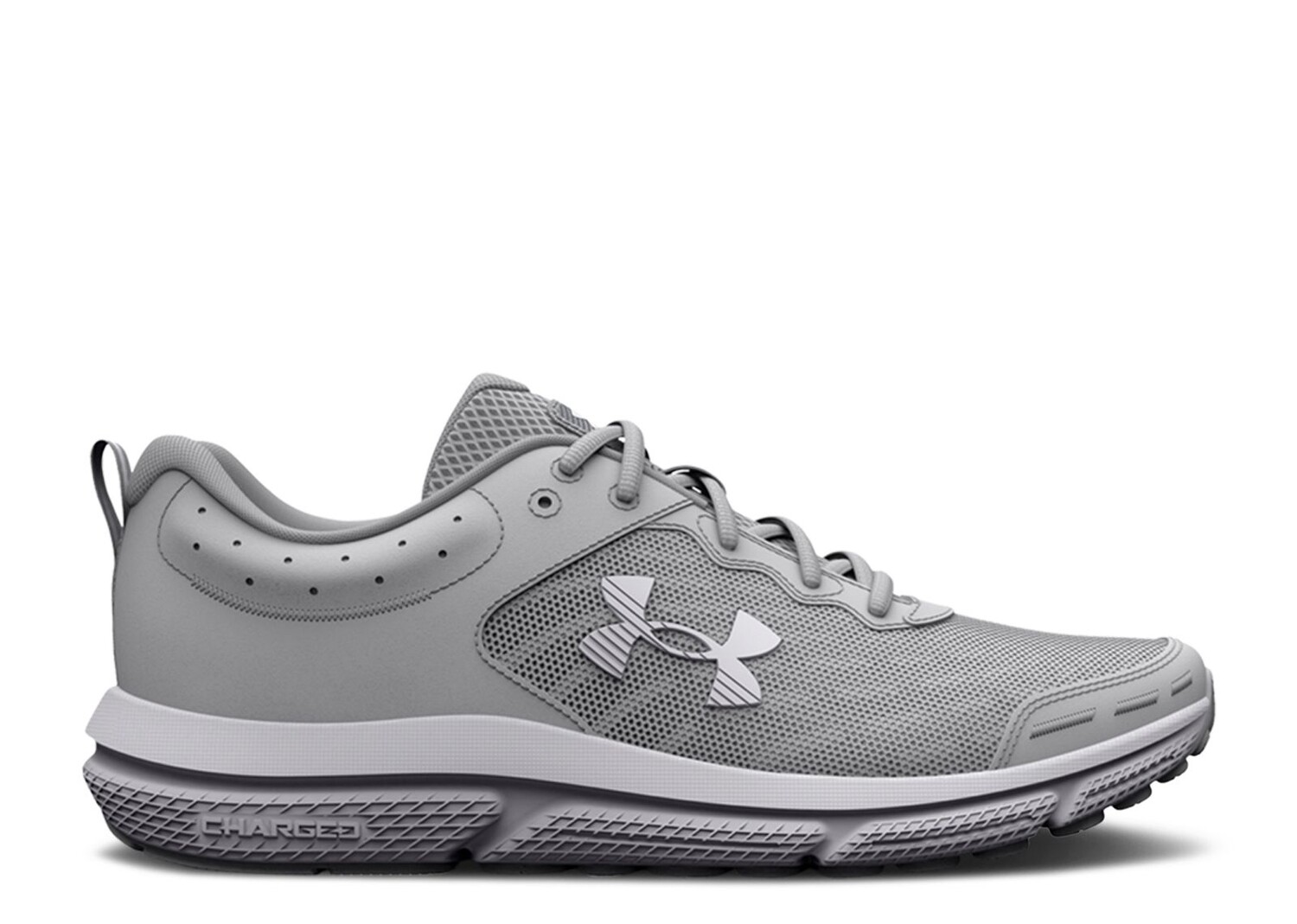 

Кроссовки Under Armour Charged Assert 10 'Mod Grey', серый
