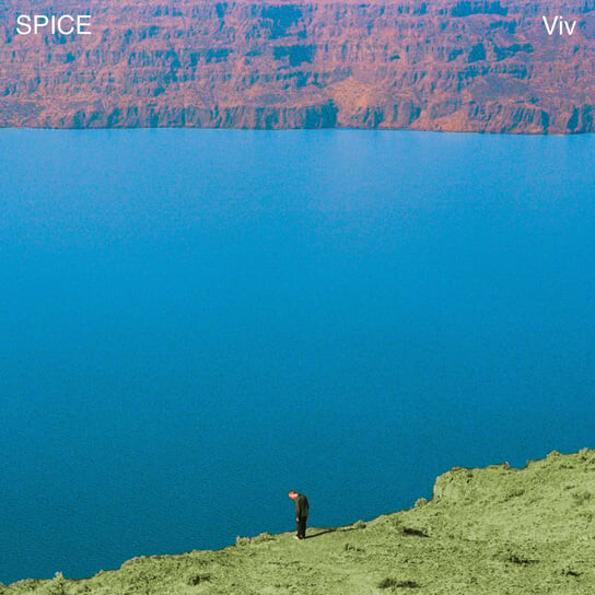 

Виниловая пластинка Spice - VIV